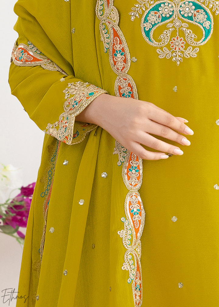 Olive Green Appliqué Chinon Sharara Suit