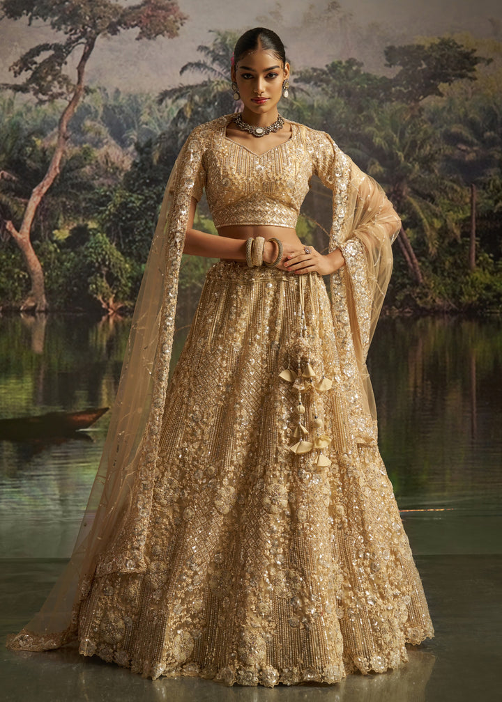 Golden beige Soft Net Lehenga with heavy embroidery