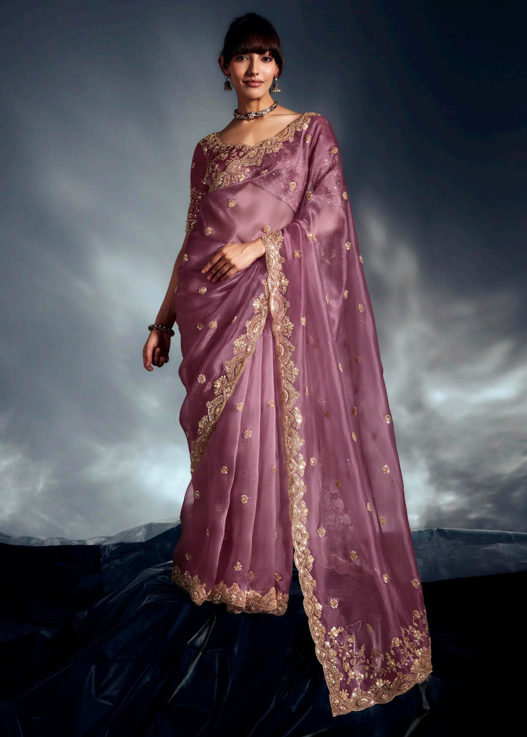 Blush Pure Fancy Saree with Hand Worked Border