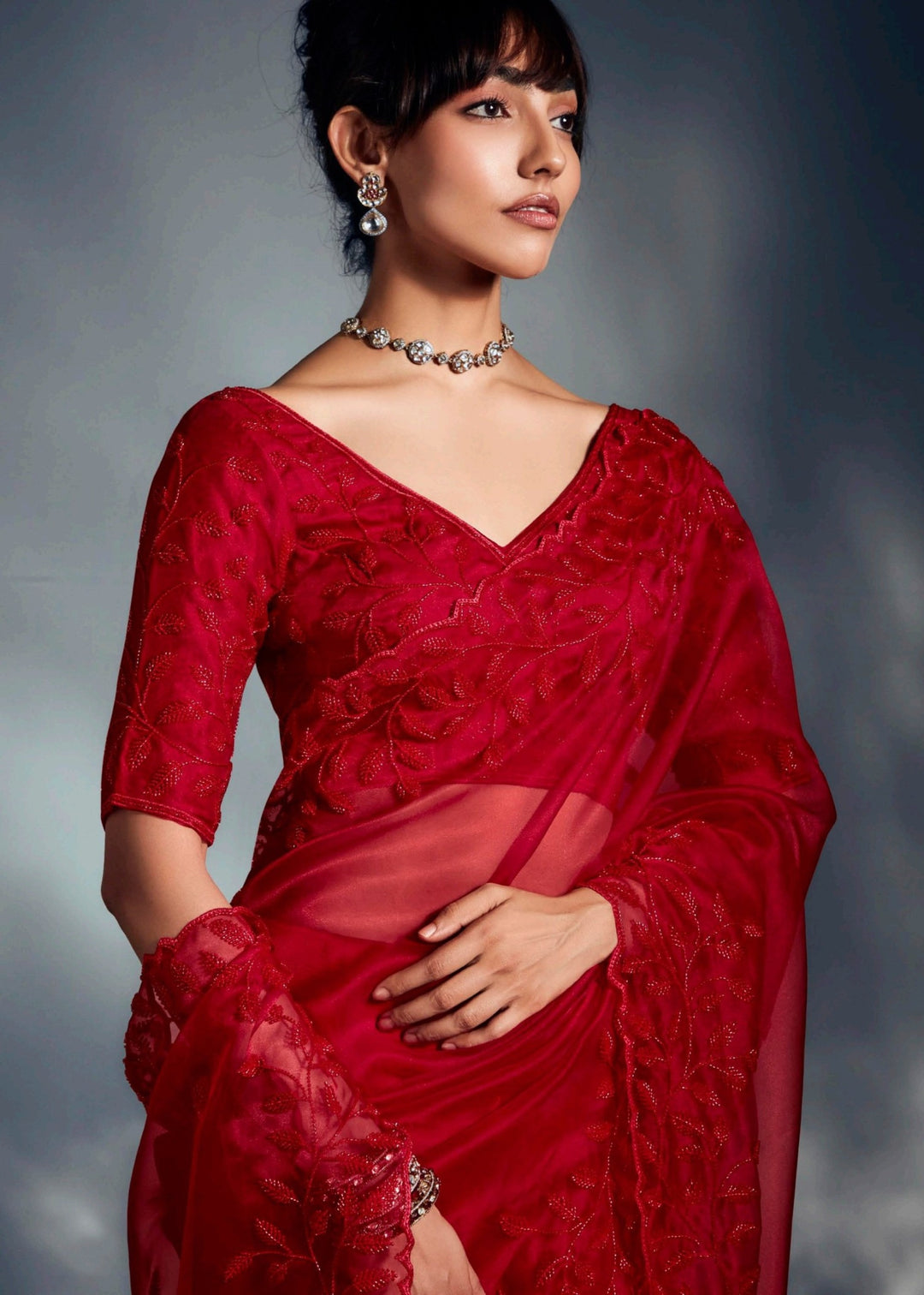 Red Pure Fancy Saree with Hand Worked Border