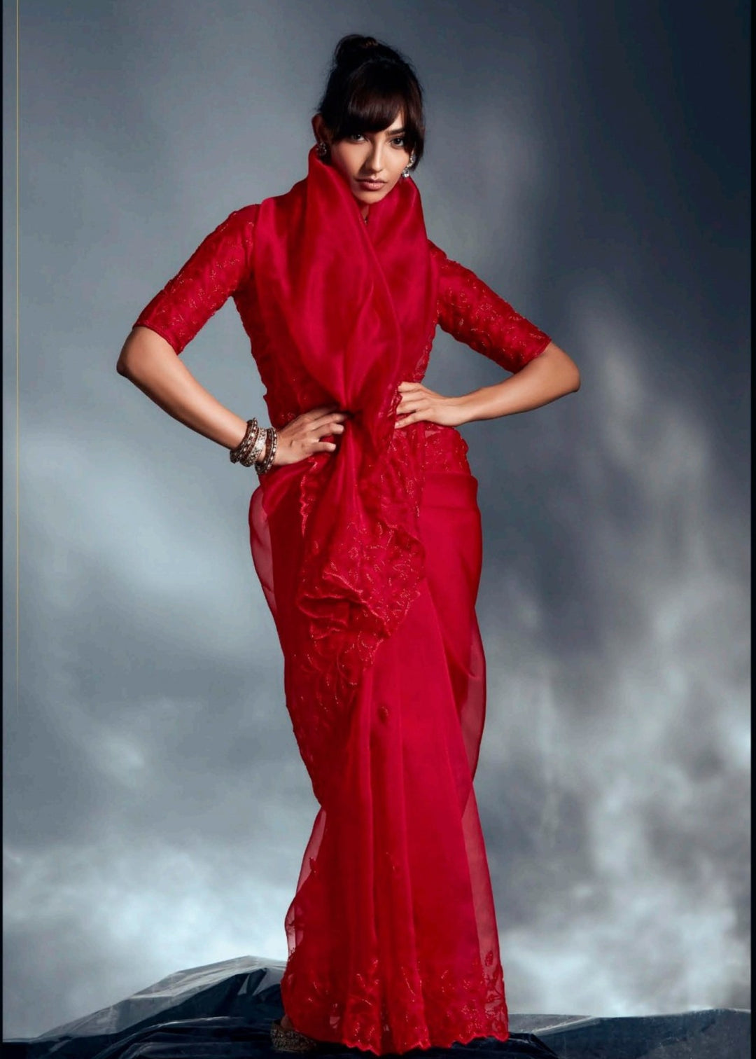 Red Pure Fancy Saree with Hand Worked Border