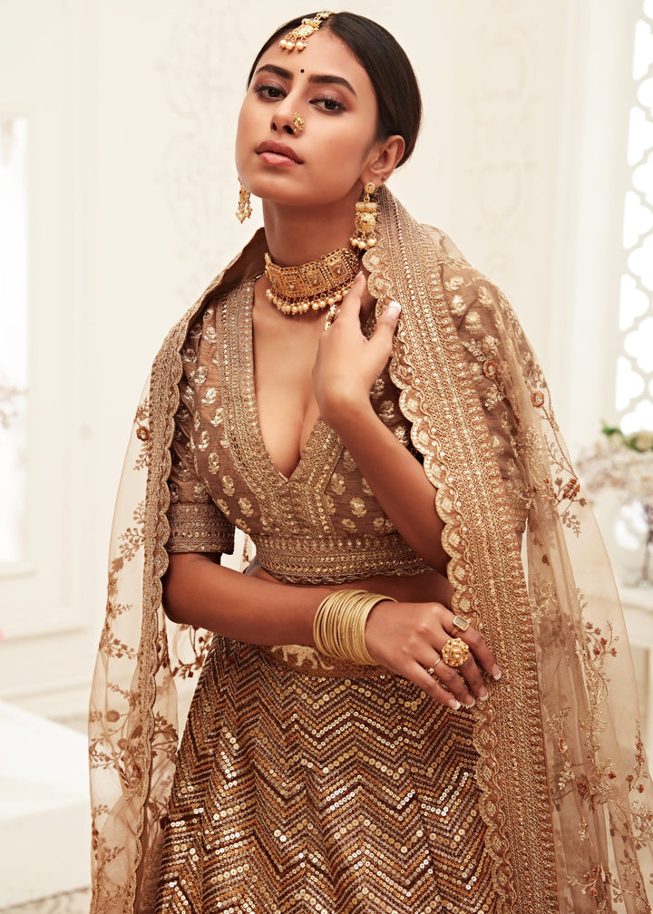 Brown Slub Silk Lehenga With Thread, Zari, Dori and Sequins Embroidery Work