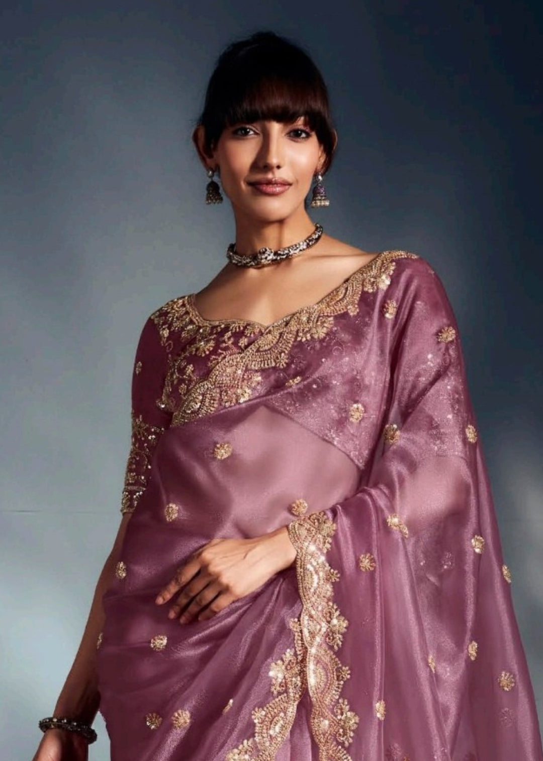 Blush Pure Fancy Saree with Hand Worked Border