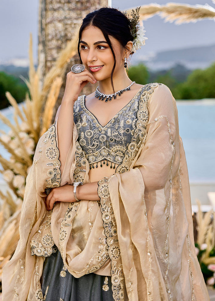 Grey Tissue Lehenga Choli with Beads & Sequince Embroidered