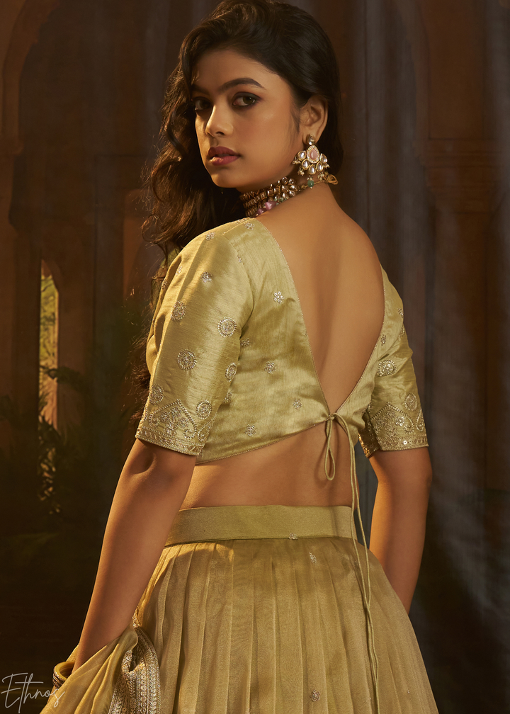 Antique Olive Sequin-Embellished Organza Lehenga Set