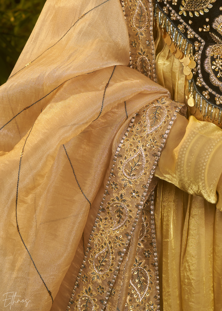 Beige Zardozi Organza Kalidar Kurta & Dupatta Set