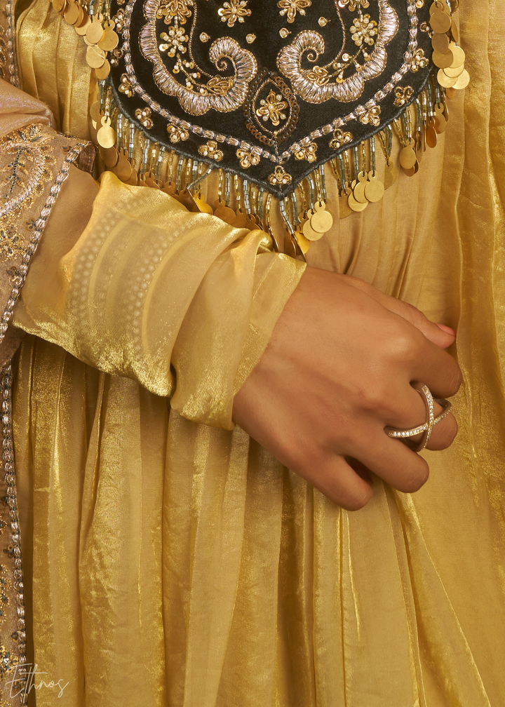 Beige Zardozi Organza Kalidar Kurta & Dupatta Set