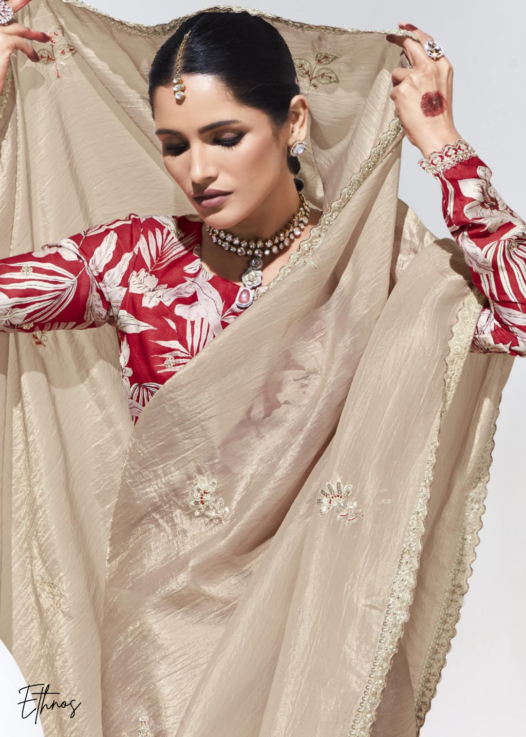 Biege Glass Tissue Organza Saree