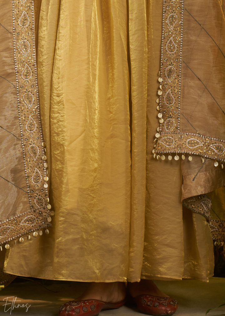 Beige Zardozi Organza Kalidar Kurta & Dupatta Set