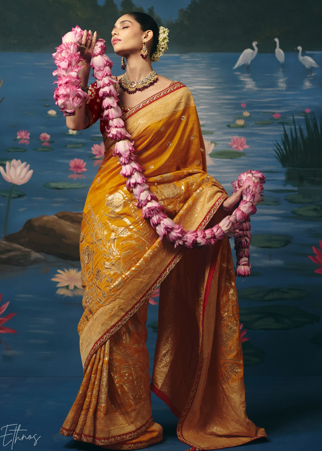 Ochre Traditional Zari Woven Border Dola Silk Saree
