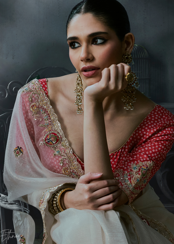 Off White Delicate Border Organza Silk Saree