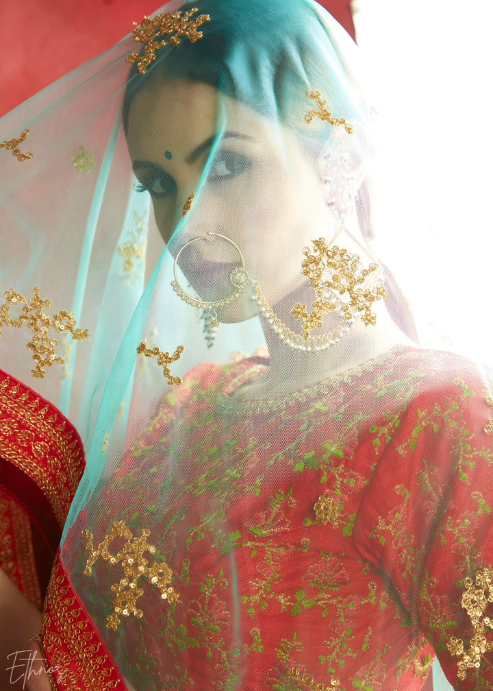 Rose Pink Zari Rose Silk Lehenga