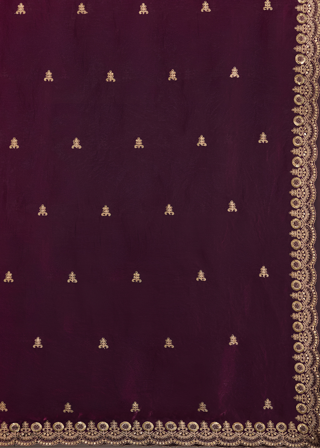 Royal Garnet Stellar Border Tissue Silk Saree