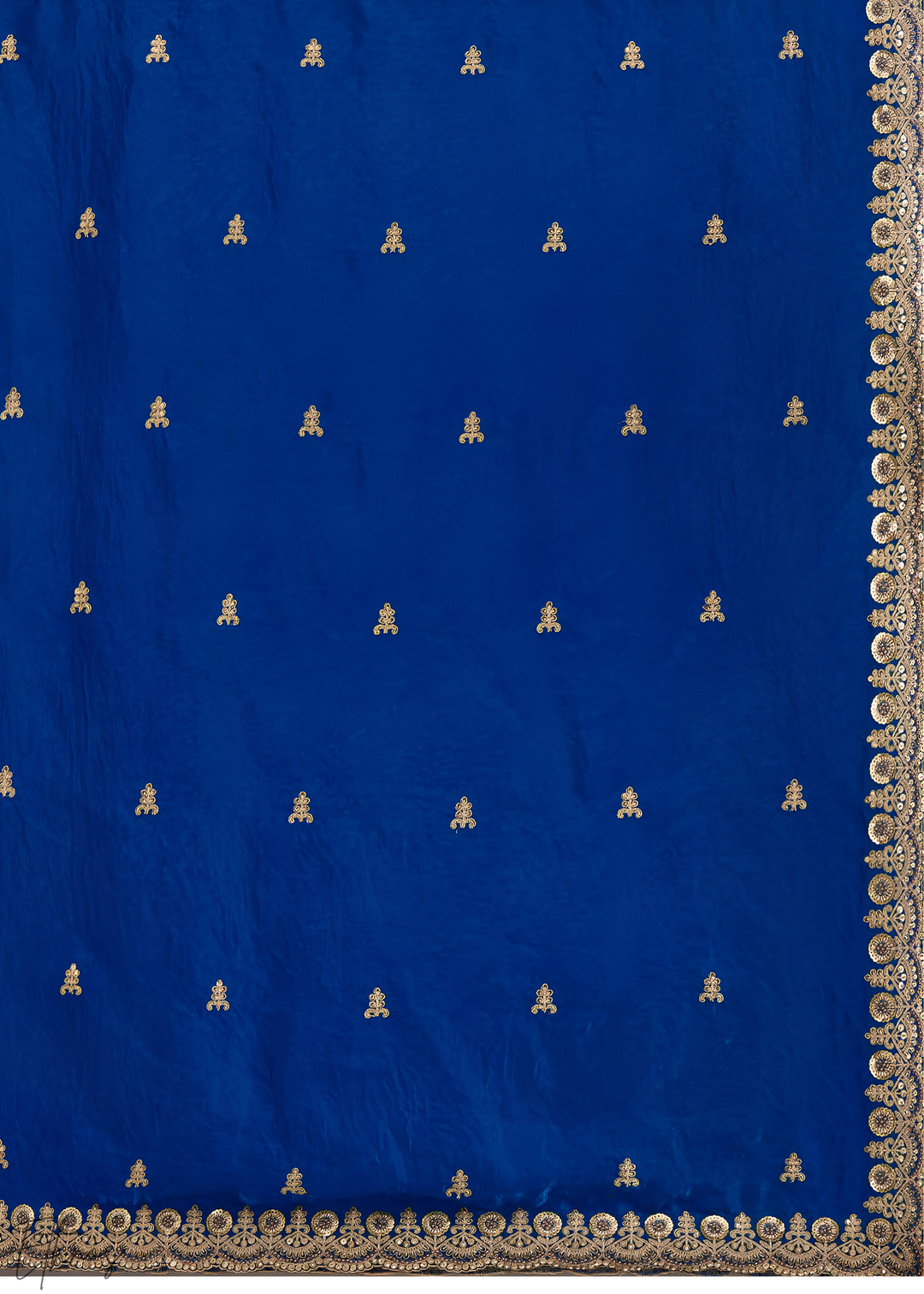 Royal Sapphire Stellar Border Tissue Silk Saree