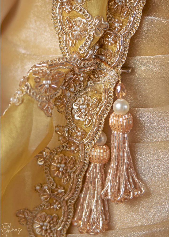 Sand Ivory Shiny Border Satin Patta Saree