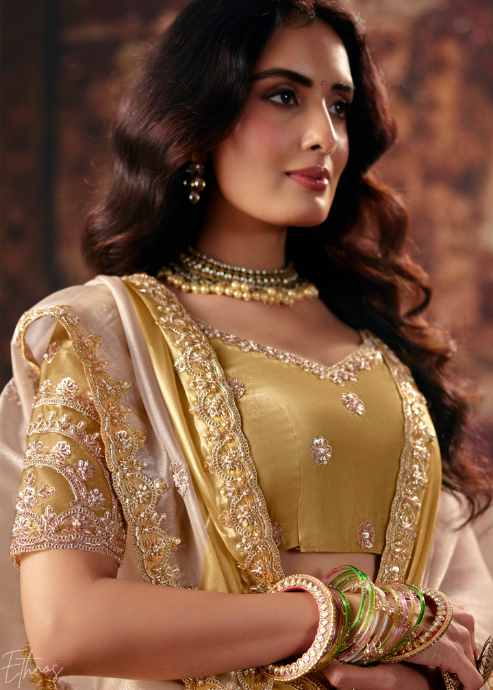 Sand Ivory Shiny Border Satin Patta Saree